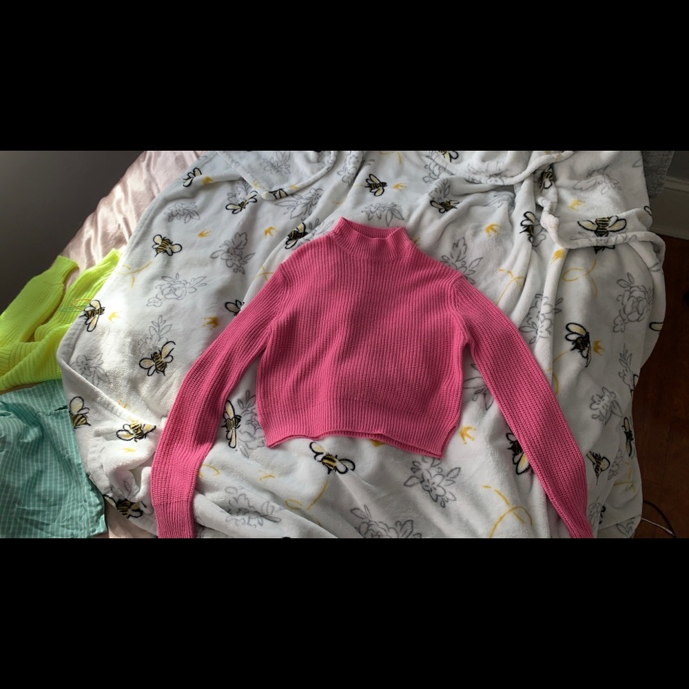Charlotte Russe turtleneck crop sweater